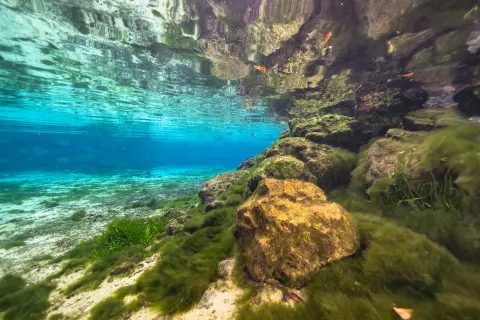Floridan Aquifer