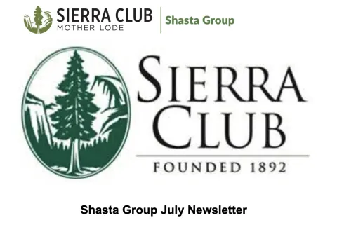 July newsletter