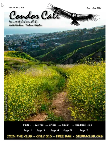 Condor Call June-July 2026