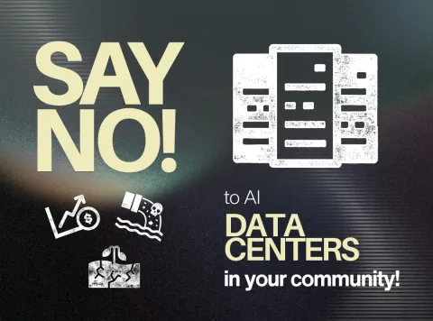 No AI Data Centers