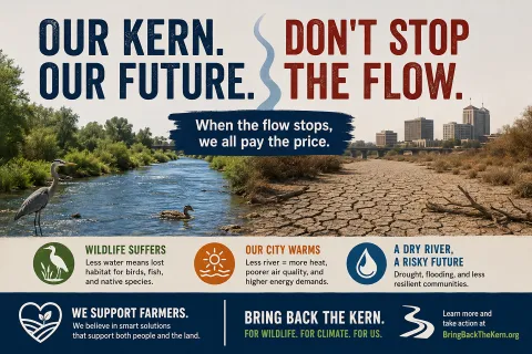 The City of Bakersfield stopped the flow of the Kern River on July 31