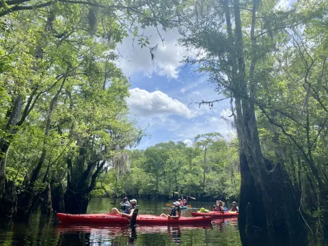 a river with kayaks, trees and sky