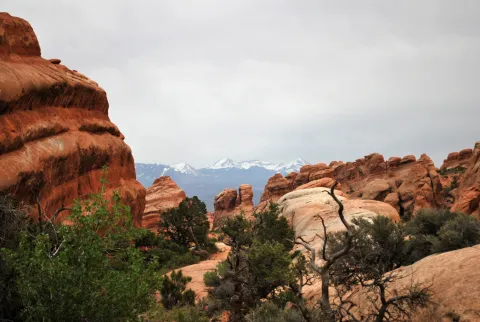 La Sal Mountains View