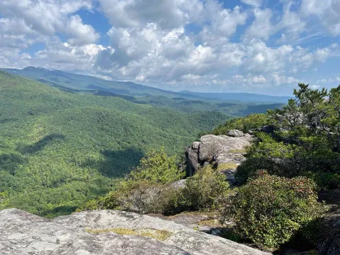 View of Lost Cover Wilderness Study Area from Big Lost Cove Cliffs