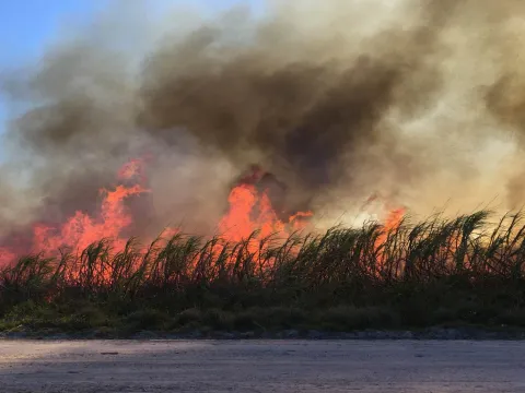 Burning.jpg