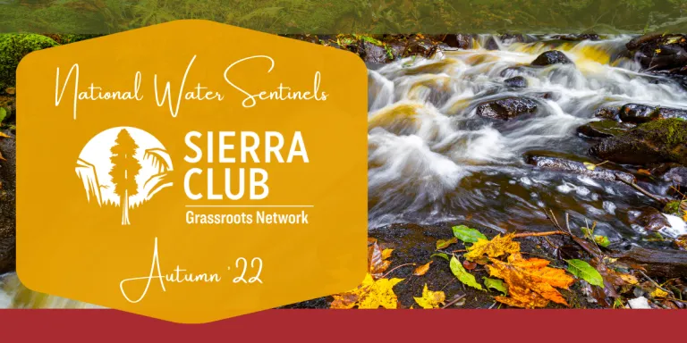 A decorative graphic over an image of a stream with autumn leaves in it.