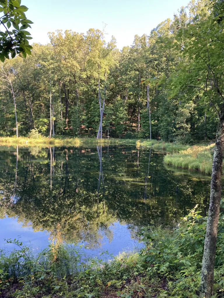 Ragged Mountain Reservoir, Charlottesville, VA - Eric Weck