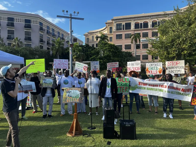 sugar burn rally