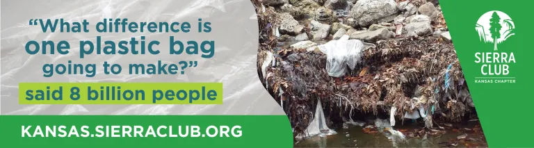 plastic bags on rocky ground at water's edge