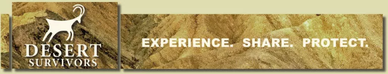 Desert Survivor