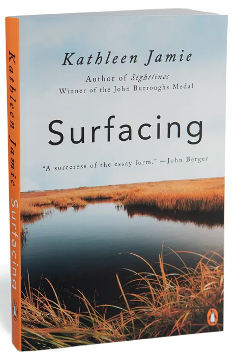 Surfacing