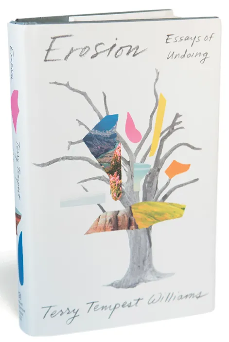 Erosion: Essays of Undoing
