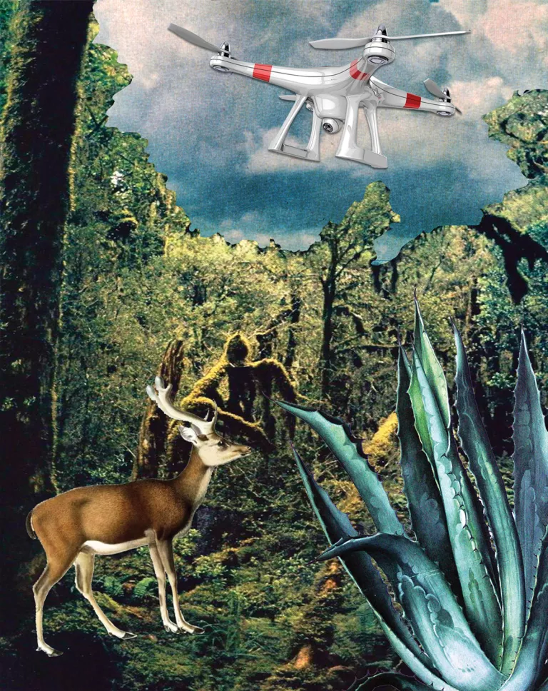 Keeping Drones Out of the Wild