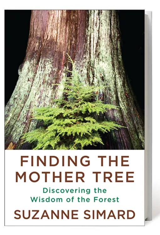 Finding the Mother Tree