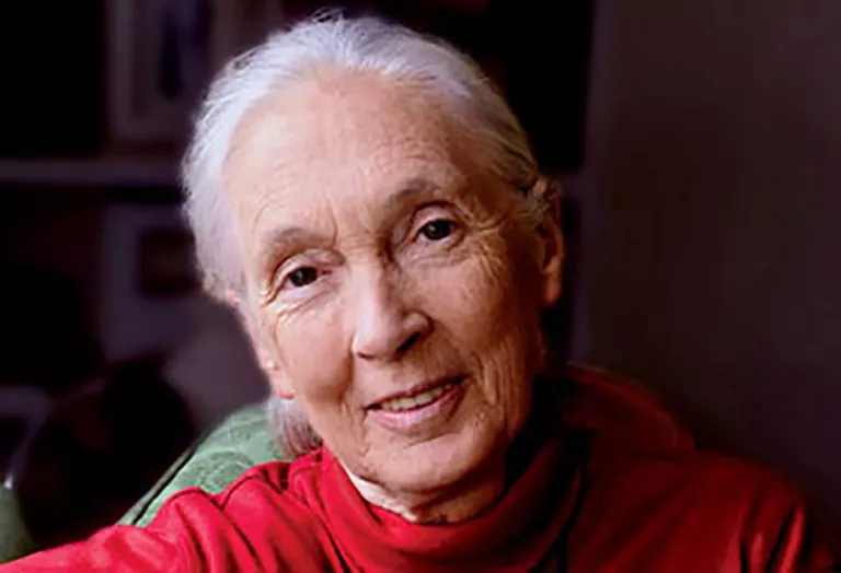 Jane Goodall