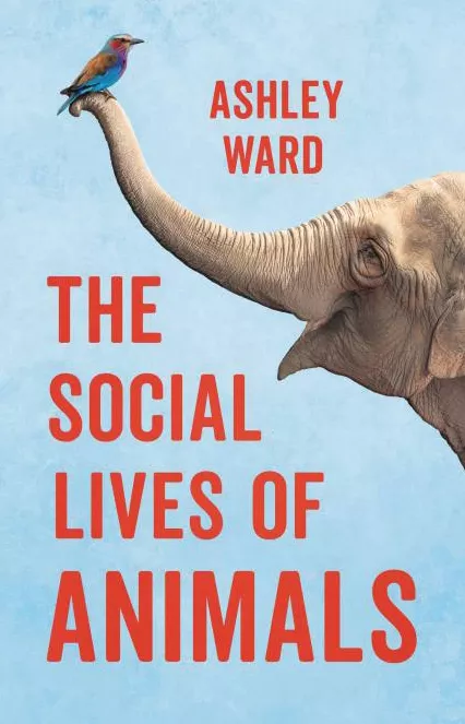 The Social Lives of Animals