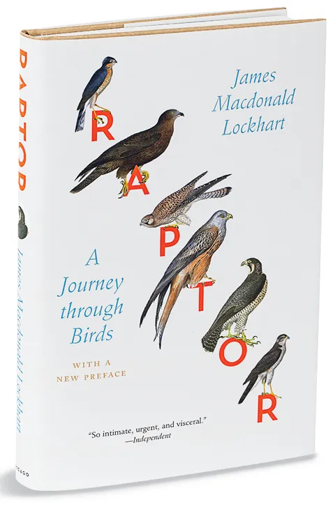 Raptor: A Journey Through Birds