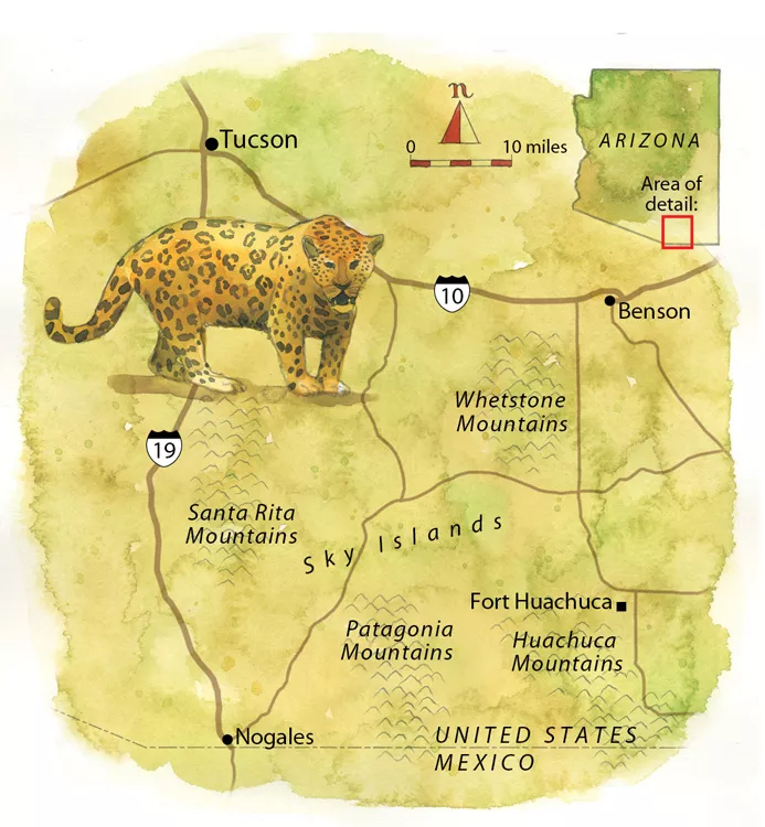 Jaguar territory in the southern United States and northern Mexico
