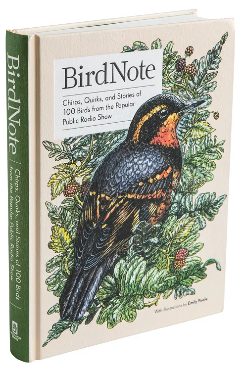 BirdNote
