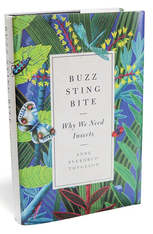 Buzz, Sting, Bite: Why We Need Insects