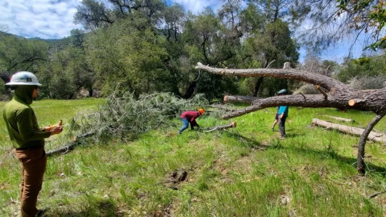 LPFA Volunteers Clearing Trail CrosscutWork, Photo by Marcus Imes