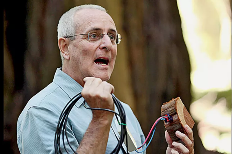 UC Berkeley scientist Todd Dawson demonstrates a sap-flow meter, used to measure the velocity of water flowing through the ancient redwoods.