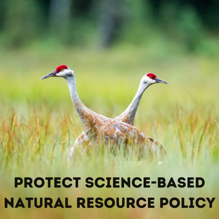 Science Based Management