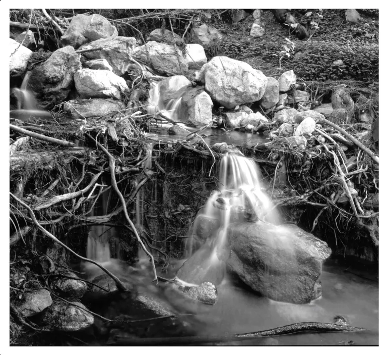 Water Study Part 1 by Michael Miner, Redwood National Park