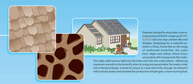 solar panel graphic
