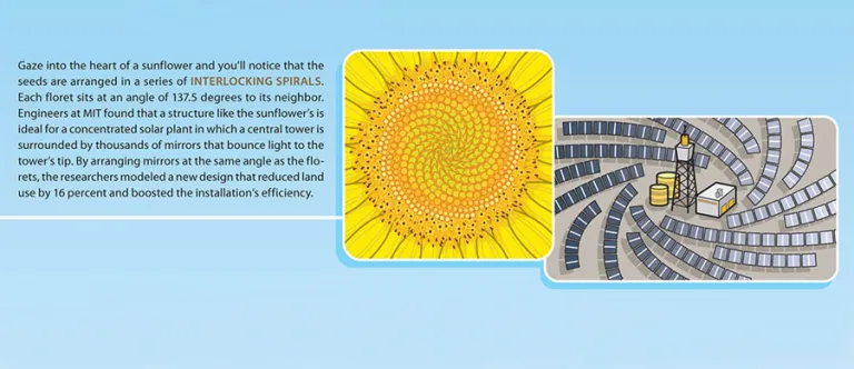 solar panel graphic