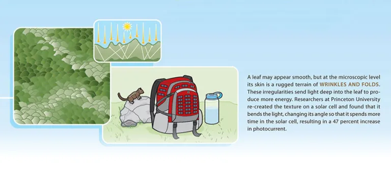 solar panel graphic