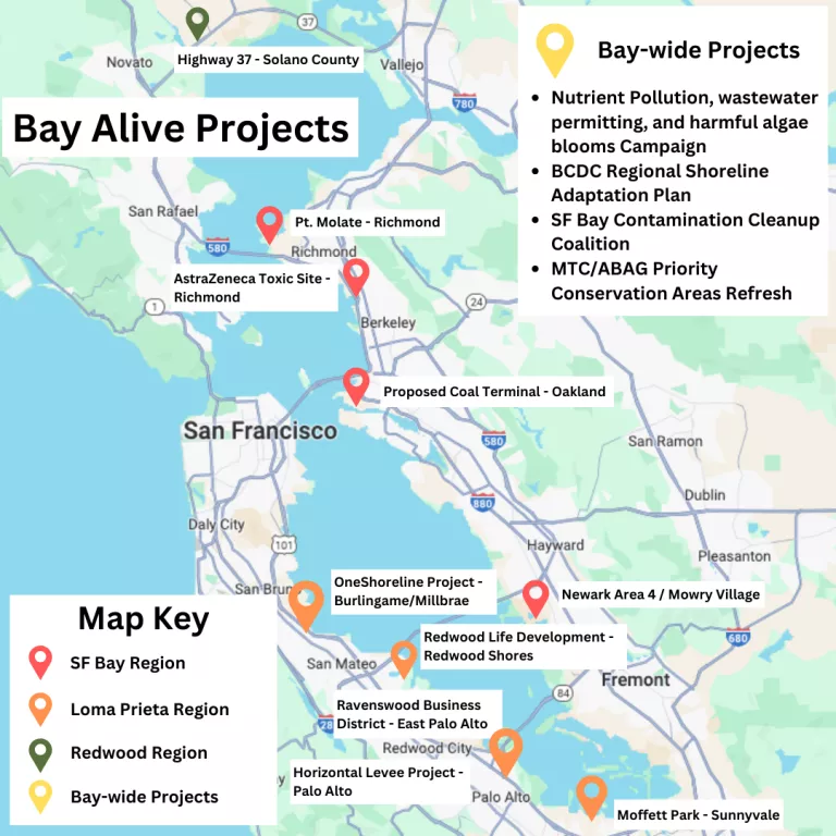 Bay Alive Project Map
