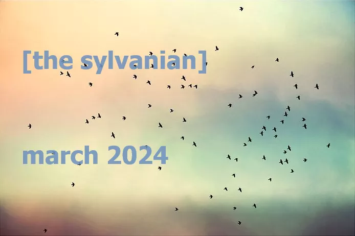 A flock of birds against pink and blue clouds.  