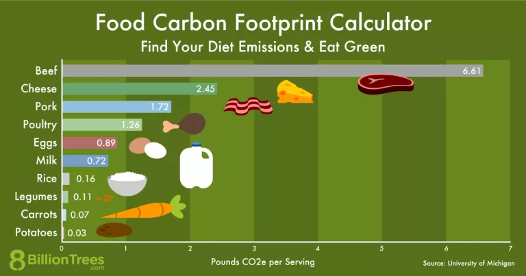 Food Carbon Footprint Chart Graphic