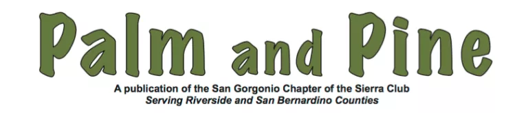 Palm and Pine Header