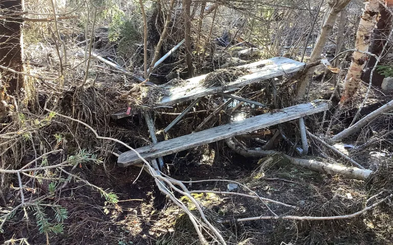 A picnic bench stick in the trees after a storm. 