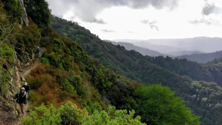 View of trail and oak wood lands on gray day, some hikers coming uphill