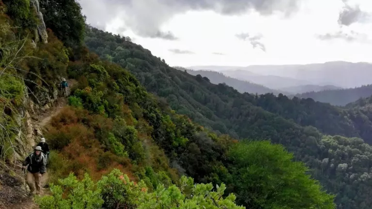 View of trail and oak wood lands on gray day, some hikers coming uphill