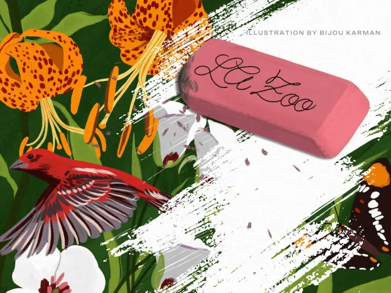 Illustration by Bijou Karman