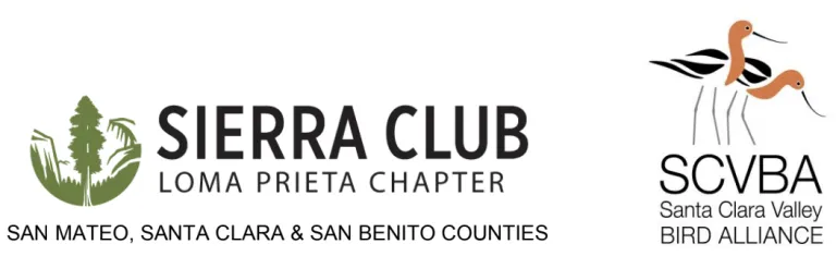 Joint letter logos