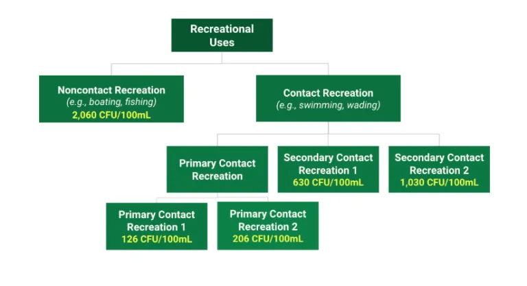 flow chart for bacteria