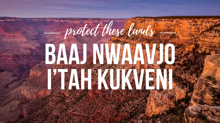 image of the grand canyon with BNIK text