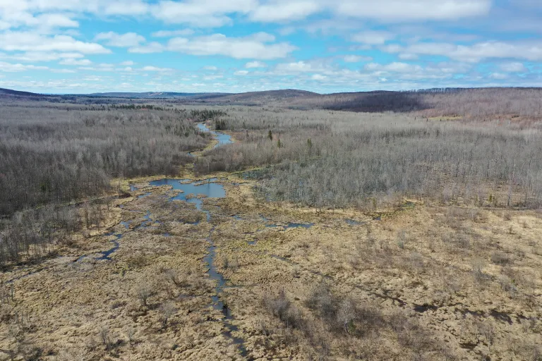 Drone footage of creek