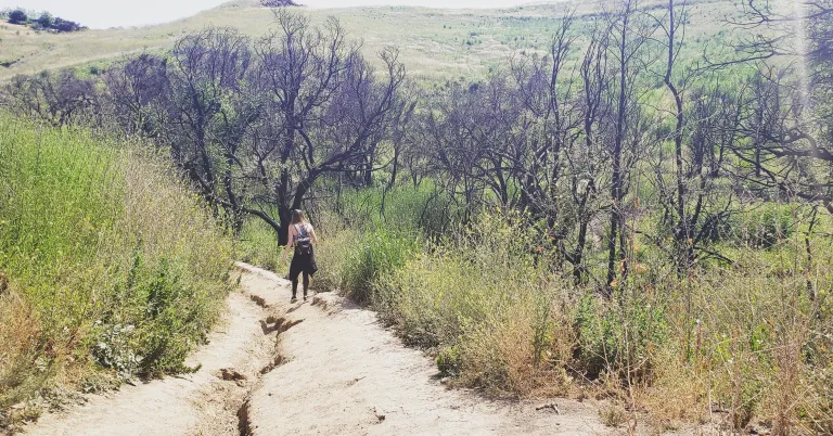 Woman hiking down a path, surrounded by trees and brush