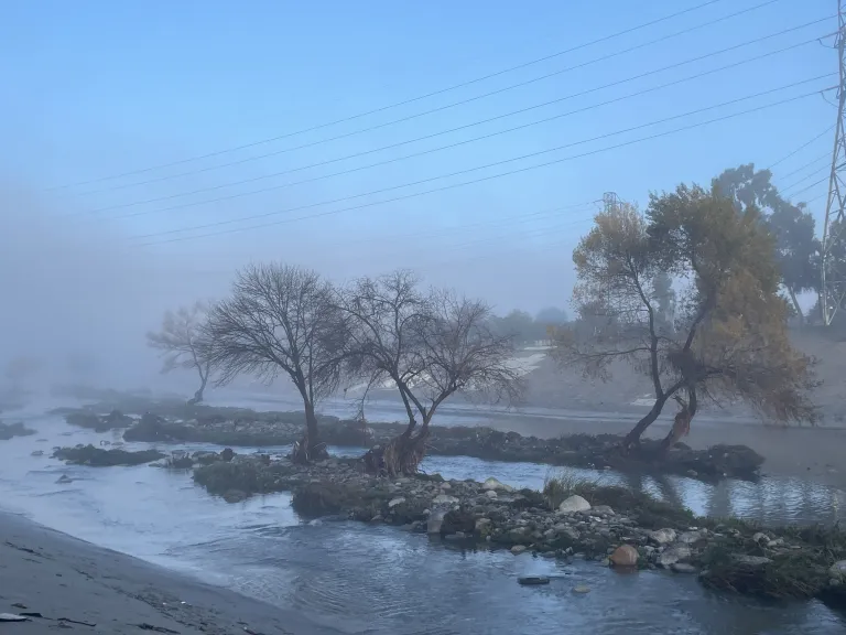 River with islands of trees