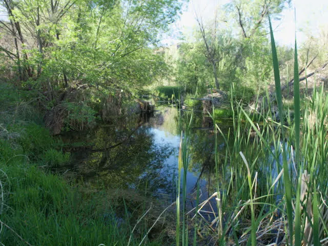 Upper Verde