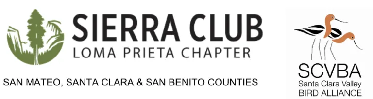 Joint letter logos