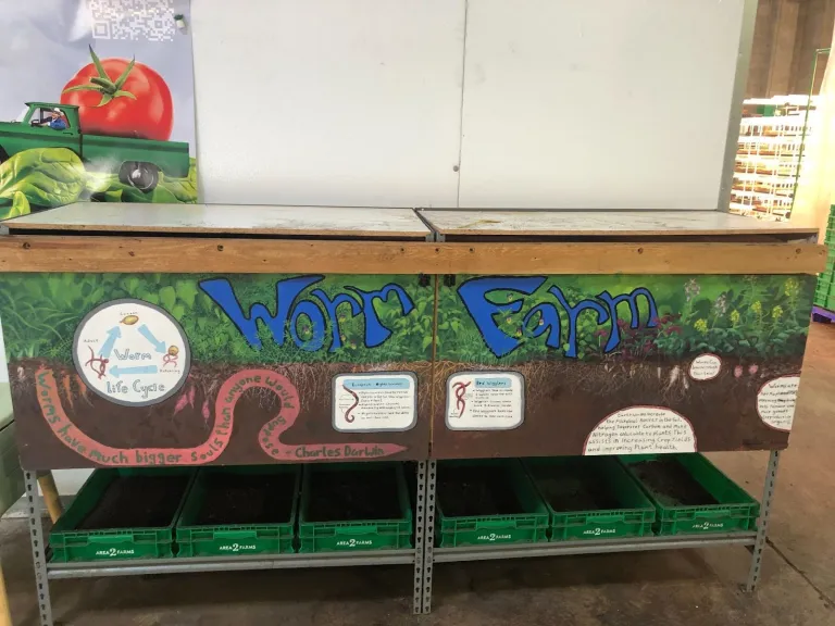 Worm Farm