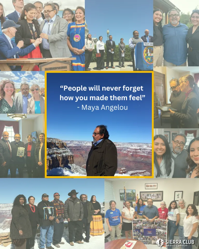 a collage of a person in the center