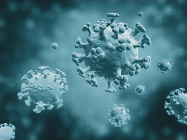 a round virus with small protrusions on it's surface